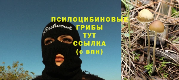 гидра Куйбышев