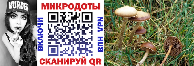 Галлюциногенные грибы прущие грибы  где найти наркотики  Кстово 