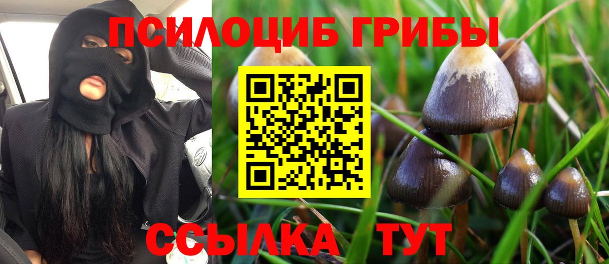 Галлюциногенные грибы ЛСД  Псилоцибиновые грибы Magic Shrooms  Кстово  Вход с VPN 